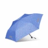 Ergobag Regenschirm Bärzaubernd -Ergobag erg rgs 001 a02 zaubernd 01 1